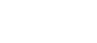 pulp